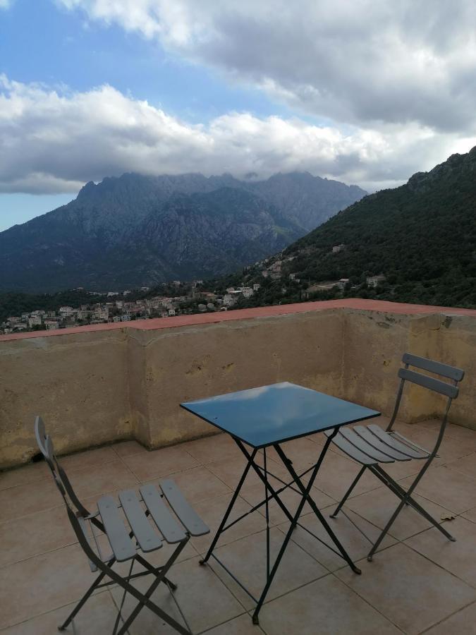 La Ventulella Bed & Breakfast Moltifao Bagian luar foto