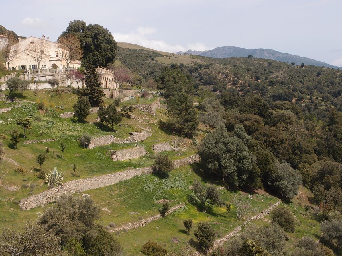 La Ventulella Bed & Breakfast Moltifao Bagian luar foto