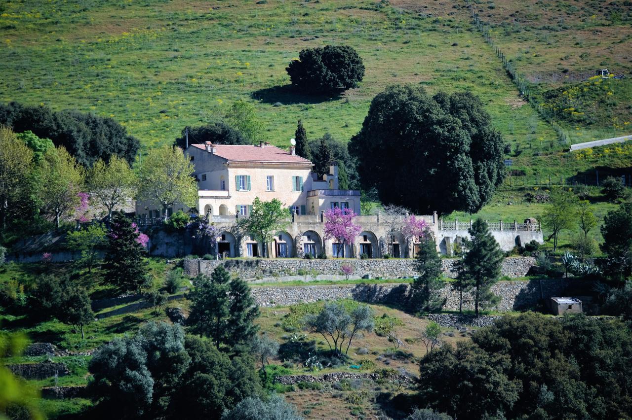 La Ventulella Bed & Breakfast Moltifao Bagian luar foto